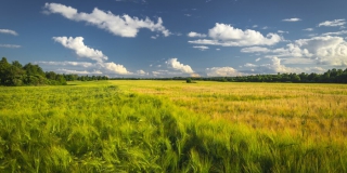 � ����������� ������� ������������ ������ ������ ����� � ��������� �������