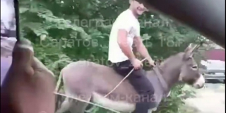 � ���������� ������� �������� �� ������ ������� ������ �� ����