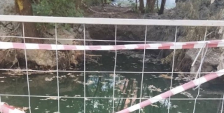 На 7-м Динамовском проезде образовалось позеленевшее коммунальное болото На 7-м Динамовском проезде образовалось позеленевшее коммунальное болото