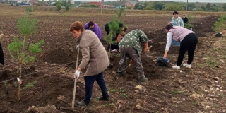 � ����������� ������ �������� ������ ������� �������� � ����� ���������� ���