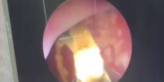 � �������� ������ �������� ������� 15 ��� ����� ����� �� ����������� ��������