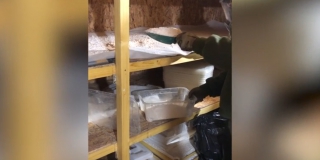 � �������� ����������� ��� ������ ����������� �� �������� 375 �� ����������