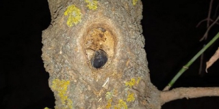 ����������� ����������� ��������� ����������� � ����� �������� � �����