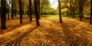 ���������� ������������ ���������� �������� � ������ �� +24 � ���������� �������