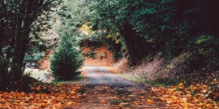 � ������� �������� ��������� �����: ��������� ��������� �����, ���������� �� +16