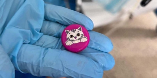 � �������� 9-������ ������� ��������� ������ � ����� � ��������