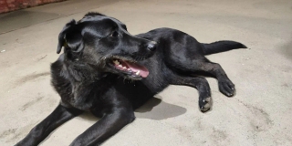 �� ��������� ��������� ��������� ������ �������� ���������. ���������� ����