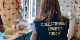 ������ ���������� ��������� � ������� �� �������� �� ������ 80-������� �������