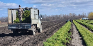 � ����������� ������� ������ ������� �������� � 1200 ��������