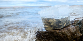 �������� �������� ������� ����������� ����� �� ������� ������ ������ � ����������� � ������� �������������