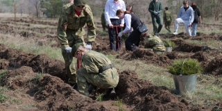 � ����������� ������ �������� 4 ������ ������� �����