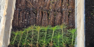 ��������� �������� ����� 2 ��� �������� � ������ ������������� �����