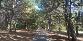 Саратовская область заняла первое место по количеству заявок на эко-премию Саратовская область заняла первое место по количеству заявок на эко-премию