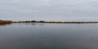 В Саратовской области дали «новую жизнь» четырем крупным рекам В Саратовской области дали «новую жизнь» четырем крупным рекам