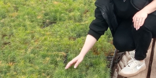 � ����������� ������� ��������������� ����� ������� �� 900%