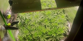 � �������� ������ �������� ���������� ��������� �������