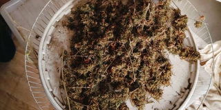 � �������� ������� ������ �� 10 ��� ������ �� �������� ������� � ���������