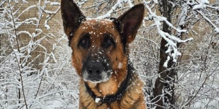 � �������� ������ ������� ������������� �������� ���������� � �������