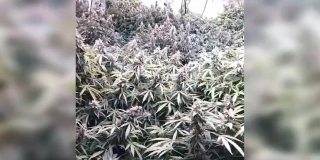 � ������� �������� ���� � ��������� ����������� ����� ����������