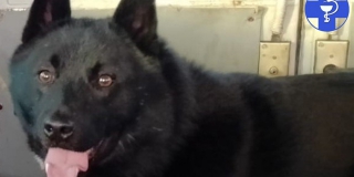 � ������������ ������ ������ ��� �� ������ ���� ����� ��������� ������