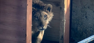 � �������� ���������� ���� � ��������� ���� �� �������. ����� �� ���� ����������