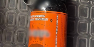 � �������� ������ ������� �������� ������� ������ ���� � ������ ���� ���� 