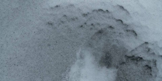 ����������� �������� ������� � ������ � ����������� ������