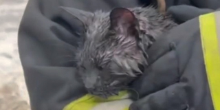 � �������� ���������� ��� ������ 2 ����� � 5 ���� �� ����� ������ � ��������