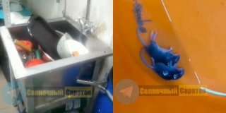 ����� �� ������� ��������� ���� � �������� ����� ��������� �� �������������