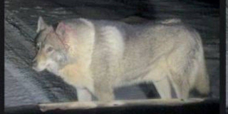 � ���������� ������ ���������� ��������� ������