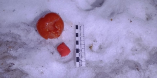 � �������� ������� ���� ������� ��������� � ��������� � ������. ��������� ���