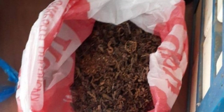 ������ ���������� ������ �� 10 ��� ������ �� �������� ��������� � ������� � ����