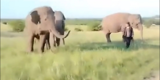 � ����������� ������� ������ �������� ���� �������� ������