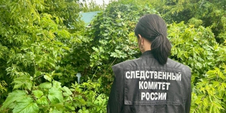 � ������ ������ ���� ����� ������ ������� ��-�� ���������� �������