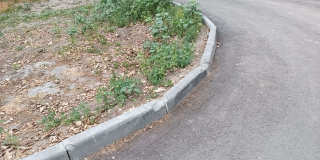 ����� ������ �� ����� ������� ����