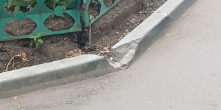 � ������ ����������������� ����� ������ ������