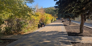 В парке «Территория детства» высадят более 200 новых деревьев и кустарников В парке «Территория детства» высадят более 200 новых деревьев и кустарников