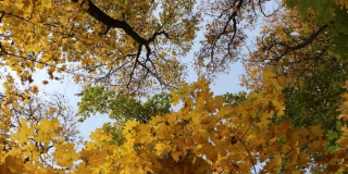 В Саратовской области снято ограничение на походы в лес В Саратовской области снято ограничение на походы в лес