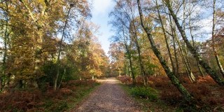 В Саратовской области прогнозируют день без дождей и с температурой не выше +8 В Саратовской области прогнозируют день без дождей и с температурой не выше +8