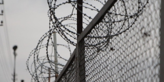 Иностранец попытался провезти гармалу через Озинки и угодил в колонию Иностранец попытался провезти гармалу через Озинки и угодил в колонию