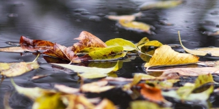 В Саратовской области прогнозируют небольшие дожди и температуру до +12 В Саратовской области прогнозируют небольшие дожди и температуру до +12