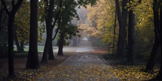 В Саратовской области неделя начнется с небольших дождей и температуры до +12 В Саратовской области неделя начнется с небольших дождей и температуры до +12