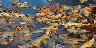 В Саратовской области прогнозируют небольшие дожди и ухудшение видимости из-за тумана В Саратовской области прогнозируют небольшие дожди и ухудшение видимости из-за тумана