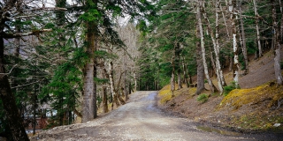 В Саратове ожидается переменная облачность и ухудшение видимости из-за тумана В Саратове ожидается переменная облачность и ухудшение видимости из-за тумана