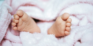 В Новоузенском районе впервые в новейшей истории родилась тройня В Новоузенском районе впервые в новейшей истории родилась тройня