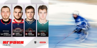 Защитник «Кристалла» признан лучшим в ВХЛ Защитник «Кристалла» признан лучшим в ВХЛ