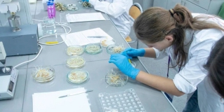 � ������ ����������� ������� ����������� ������� 15 ��������������� �������