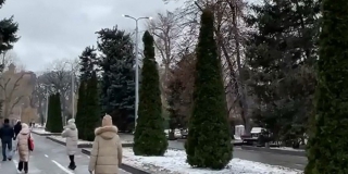 � ����������� �������� ��������� ���������