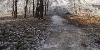 ������� �������� ������� ��������, ������� � �����