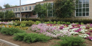 � �������� ������� ����������� ������ ����� ����� ��������